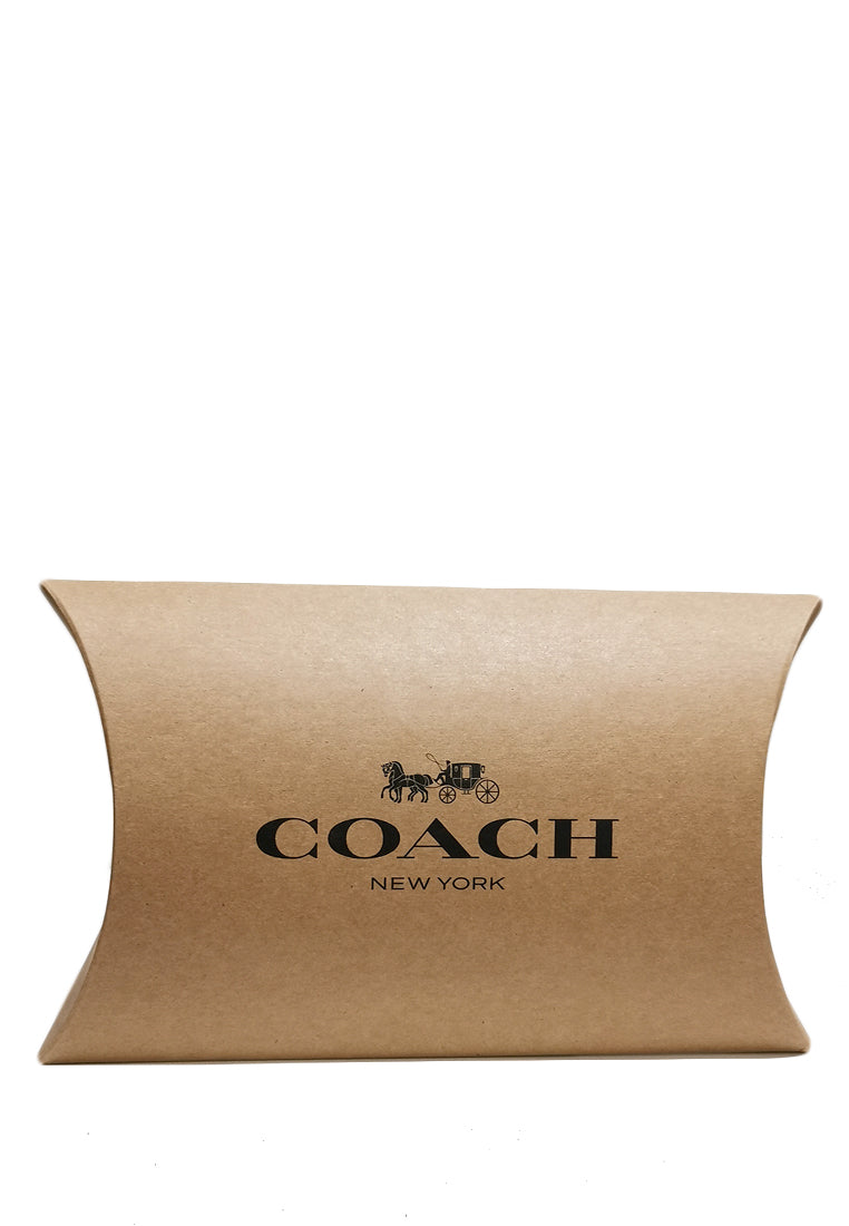 Coach Pillow Box + Coach Paper Bag Small